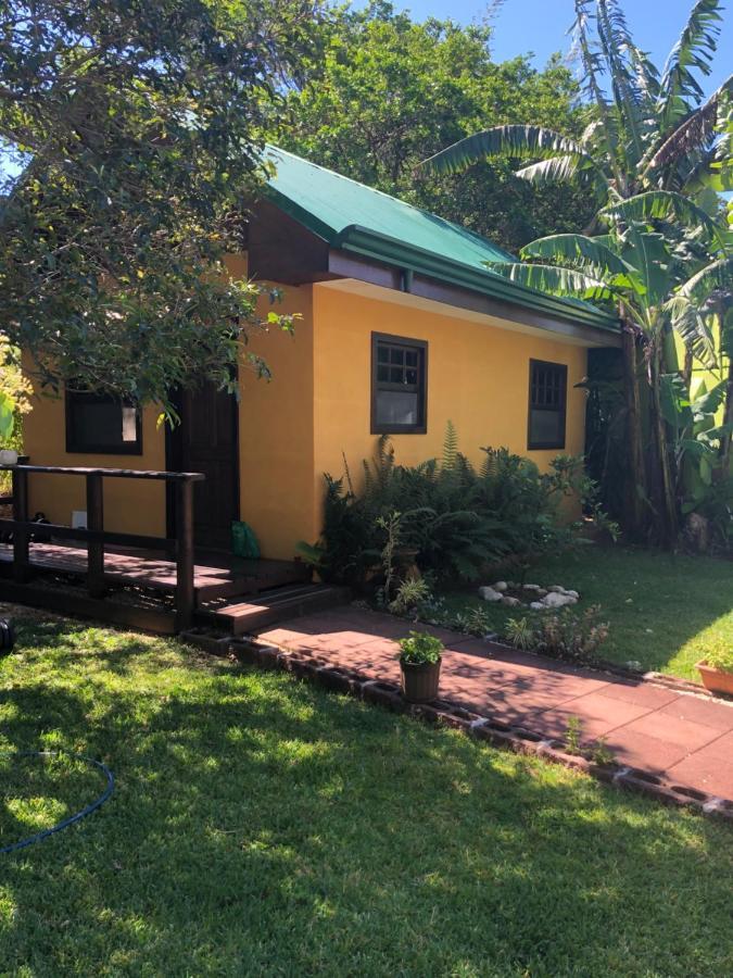 Bed and Breakfast Airport Rio Segundo Studio Alajuela Exterior foto